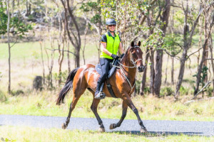 Barbara Woods riding Splendacrest Perfection at the 2019 Cooyar ride. Photo credit: Sarah Sullivan Photography